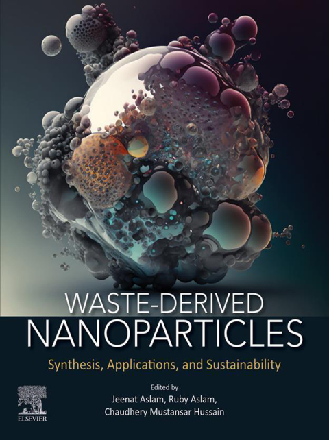 Cover image for book Waste-Derived Nanoparticles
