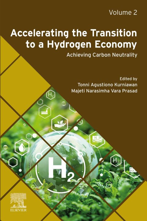 Accelerating the Transition to a Hydrogen Economy 