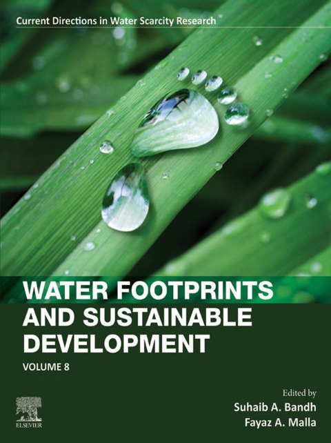 Cover image for book Water Footprints and Sustainable Development