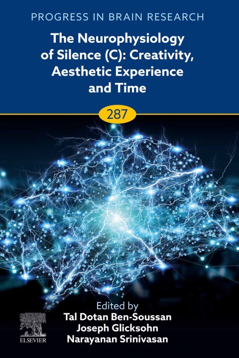 Cover image for book The Neurophysiology of Silence (C): Creativity, Aesthetic Experience and Time