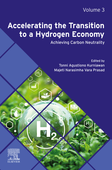Accelerating the Transition to a Hydrogen Economy 