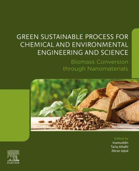 Biomass Conversion through Nanomaterials 
