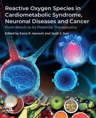 Reactive Oxygen Species in Cardiometabolic Syndrome, Neuronal Diseases and Cancer