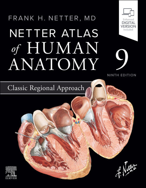 Cover image for book Netter Atlas of Human Anatomy: Classic Regional Approach