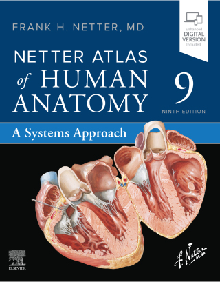 Netter Atlas of Human Anatomy: A Systems Approach