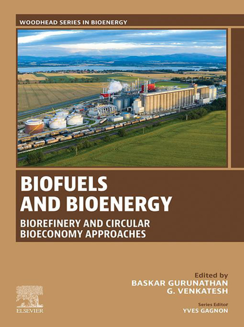 Cover image for book Biofuels and Bioenergy
