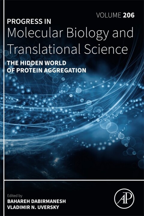 Cover image for book The Hidden World of Protein Aggregation