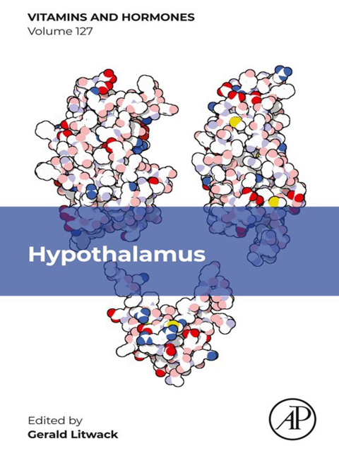 Cover image for book Hypothalamus
