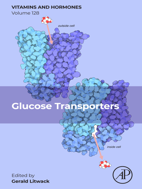 Cover image for book Glucose Transporters