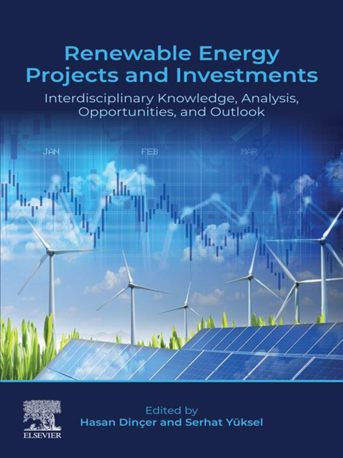 Cover image for book Renewable Energy Projects and Investments