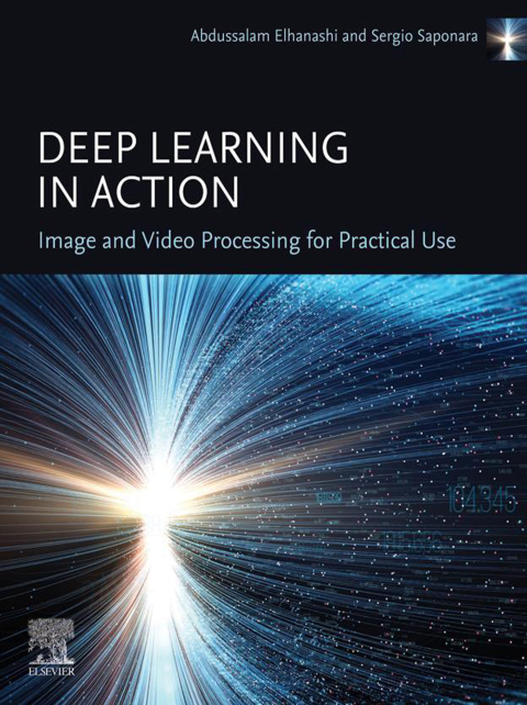 Cover image for book Deep Learning in Action: Image and Video  Processing for Practical Use