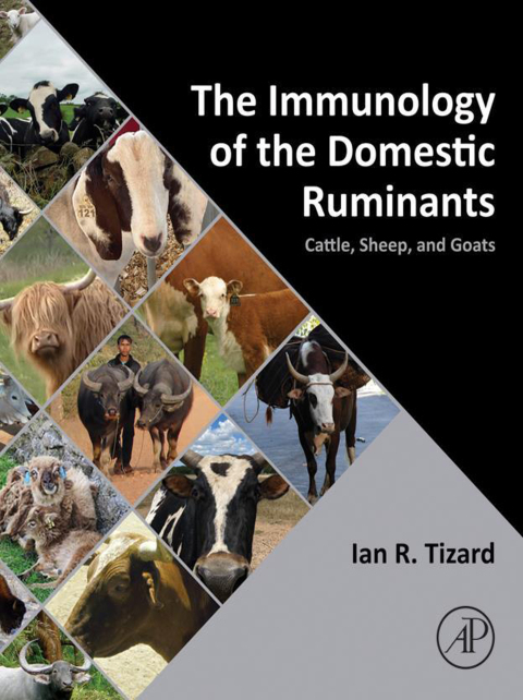 Cover image for book The Immunology of the Domestic Ruminants