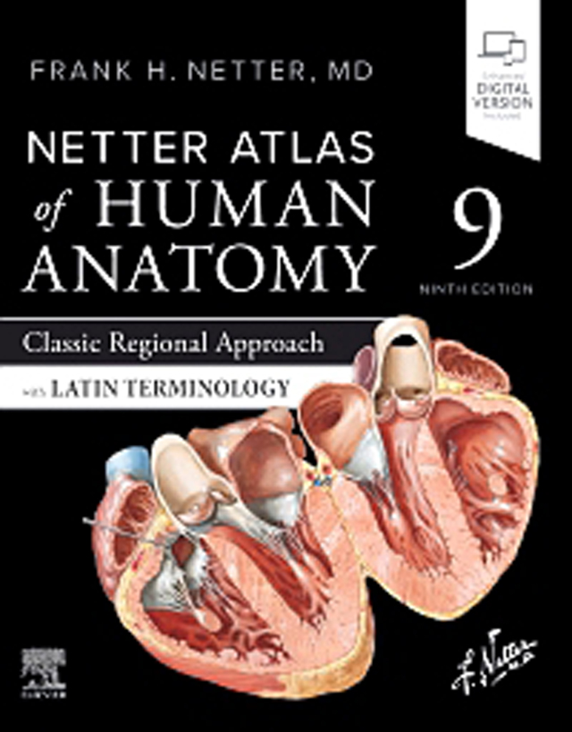 Netter Atlas of Human Anatomy: Classic Regional Approach with Latin Terminology - INK