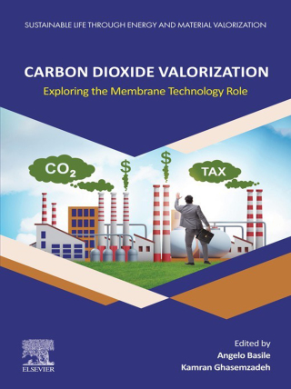 Carbon Dioxide Valorization
