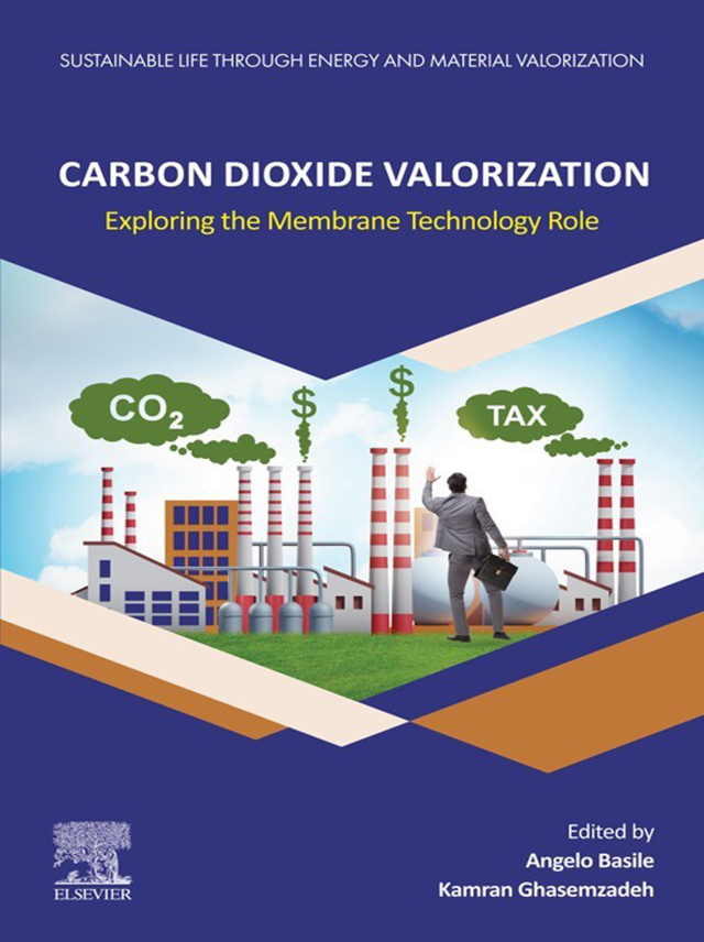 Carbon Dioxide Valorization