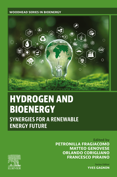 Cover image for book Hydrogen and Bioenergy