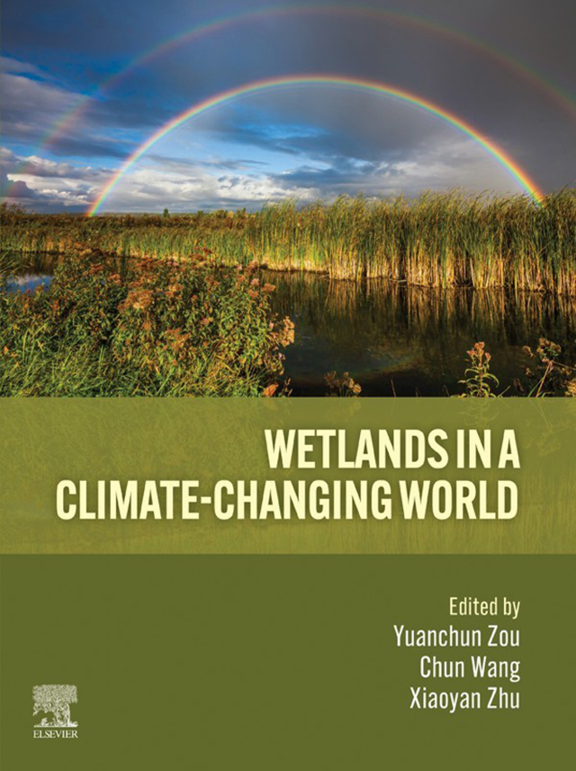 Wetlands in a Climate-Changing World