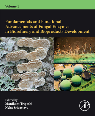 Fundamentals and Functional Advancements of Fungal Enzymes in Biorefinery and Bioproducts Development