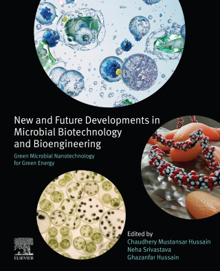 Green Microbial Nanotechnology for Green Energy