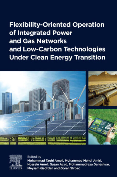 Cover image for book Flexibility-Oriented Operation of Integrated Power and Gas Networks and Low-Carbon Technologies Under Clean Energy Transition