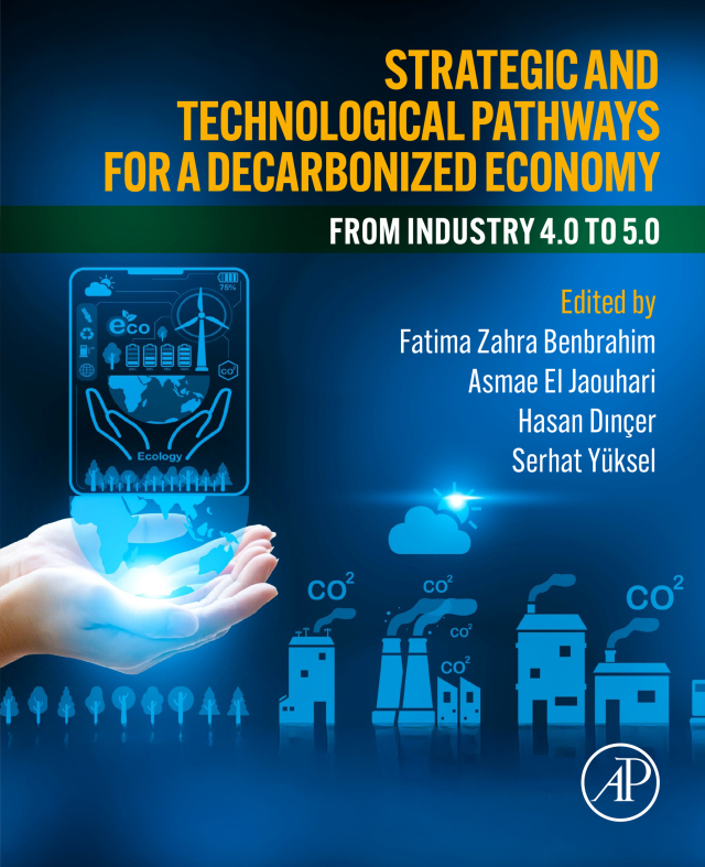 Strategic and Technological Pathways for a Decarbonized Economy
