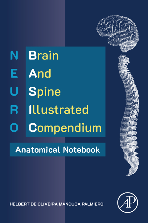 Cover image for book NEURO BASIC: Brain and Spine Illustrated Compendium – Anatomical Notebook