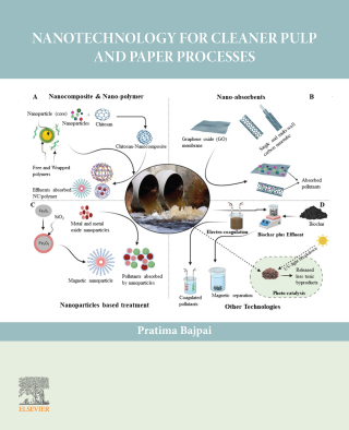 Nanotechnology for Cleaner Pulp and Paper Processes