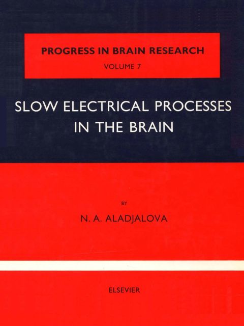 [1825 days] Slow Electrical Processes in the Brain