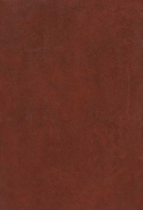 Cover image for book Regional Studies