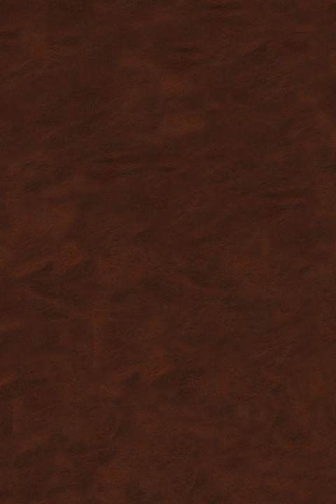 Cover image for book Cu, Zn, Pb, and Ag Deposits