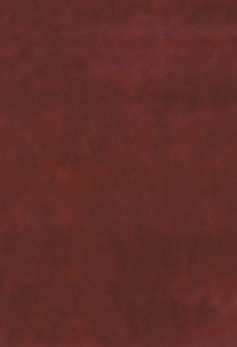Cover image for book Au, U, Fe, Mn, Hg, Sb, W, and P Deposits