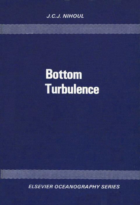 Cover image for book Bottom Turbulence