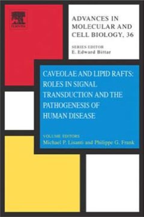 Cover image for book Caveolae and Lipid Rafts : Roles in Signal Transduction & the Pathogenesis of Human Disease: Advances in Molecular and Cell Biology