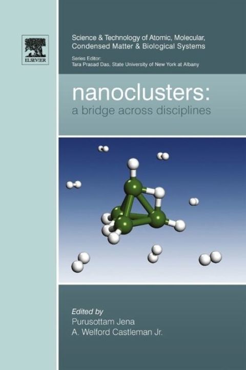 Cover image for book Nanoclusters: A Bridge across Disciplines