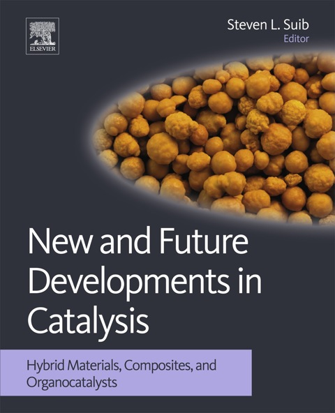 Cover image for book New and Future Developments in Catalysis: Hybrid Materials, Composites, and Organocatalysts