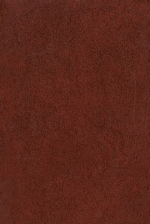 Cover image for book Tectonics and Metamorphism
