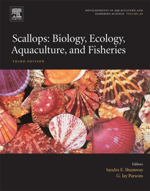 Cover image for book Scallops