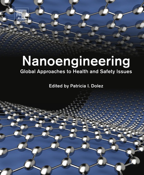 Cover image for book Nanoengineering: Global Approaches to Health and Safety Issues