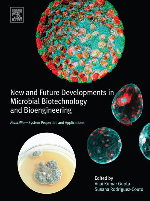 Cover image for book New and Future Developments in Microbial Biotechnology and Bioengineering