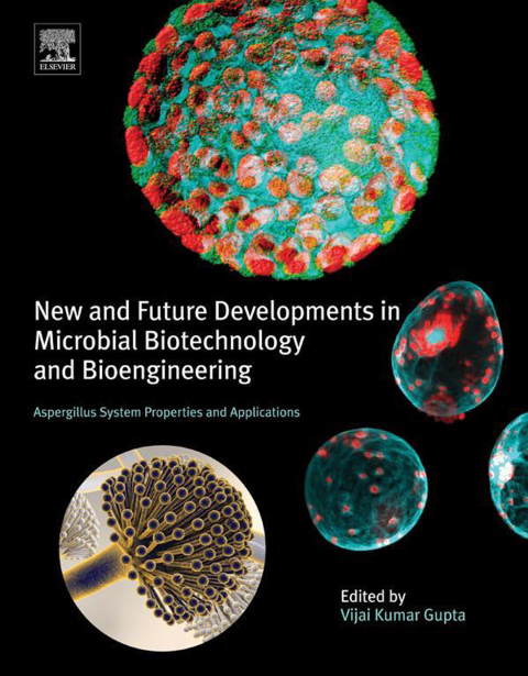 Cover image for book New and Future Developments in Microbial Biotechnology and Bioengineering
