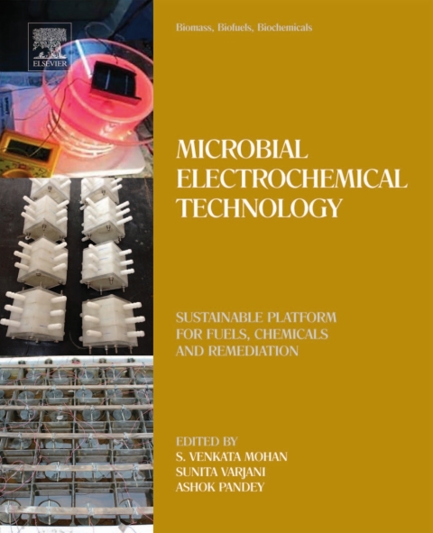Cover image for book Biomass, Biofuels, Biochemicals
