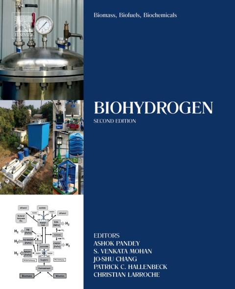 Cover image for book Biomass, Biofuels, Biochemicals