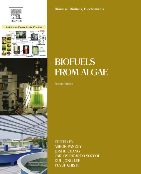 Cover image for book Biomass, Biofuels, Biochemicals