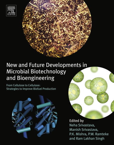 Cover image for book New and Future Developments in Microbial Biotechnology and Bioengineering