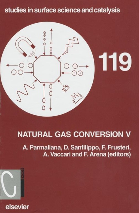 Cover image for book Natural Gas Conversion V