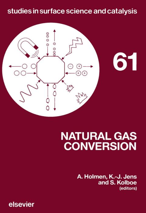 Cover image for book Natural Gas Conversion