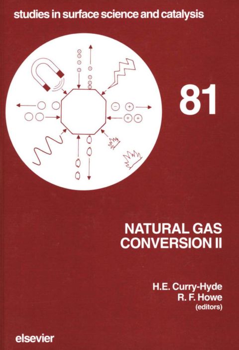 Cover image for book Natural Gas Conversion II