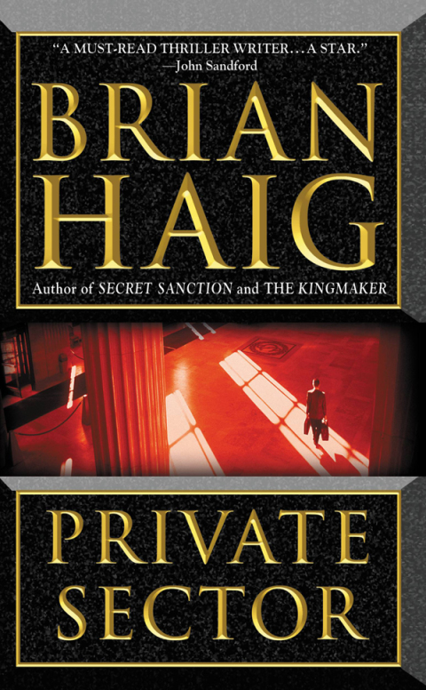 Cover image for book Private Sector