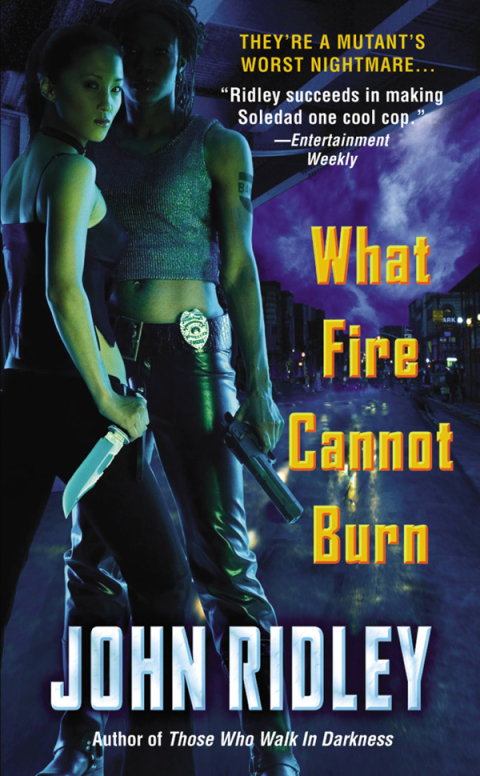 Cover image for book What Fire Cannot Burn