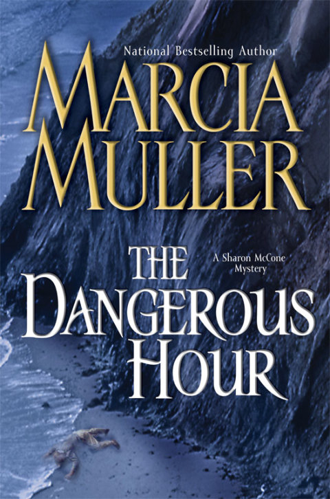 Cover image for book The Dangerous Hour